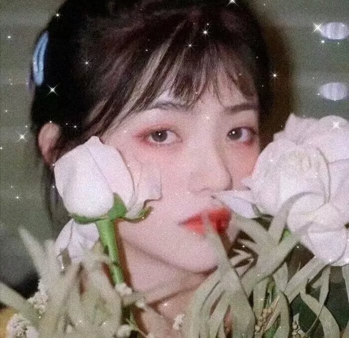 狼少女与黑王子2014